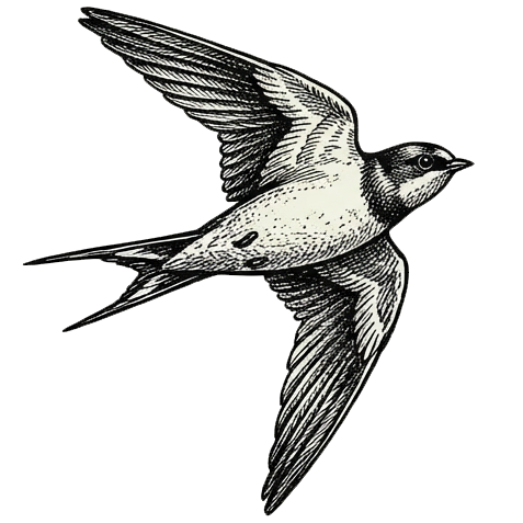 Flying Bird 1