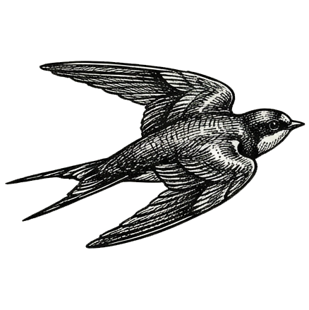 Flying Bird 2